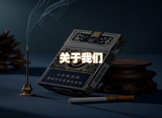 关于鼎京集烟网